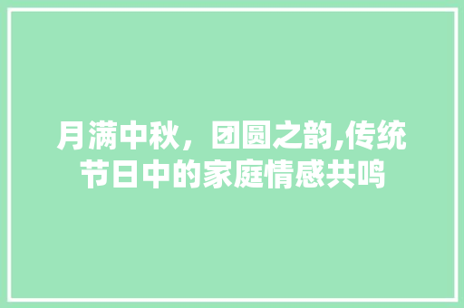 月满中秋，团圆之韵,传统节日中的家庭情感共鸣