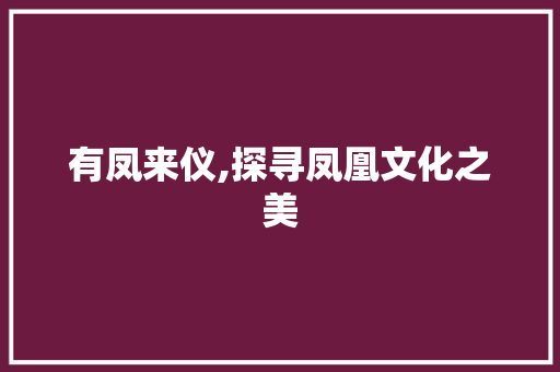 有凤来仪,探寻凤凰文化之美