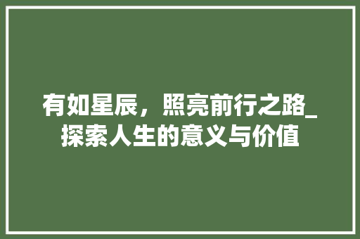 有如星辰，照亮前行之路_探索人生的意义与价值