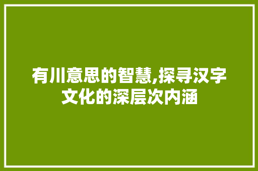 有川意思的智慧,探寻汉字文化的深层次内涵