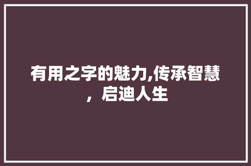 有用之字的魅力,传承智慧，启迪人生