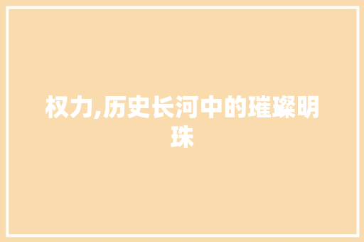 权力,历史长河中的璀璨明珠