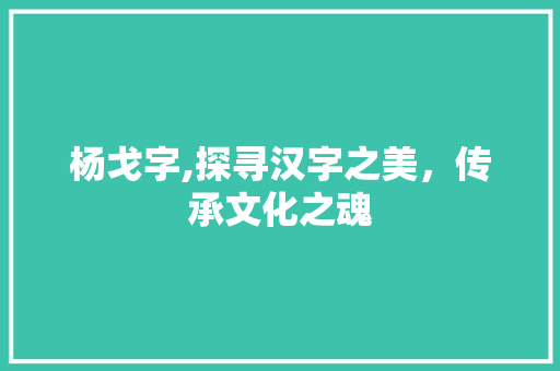 杨戈字,探寻汉字之美，传承文化之魂