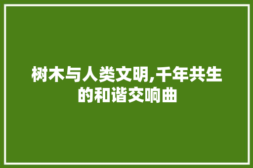 树木与人类文明,千年共生的和谐交响曲