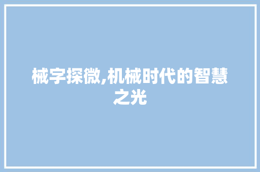 械字探微,机械时代的智慧之光
