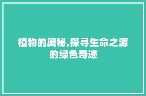植物的奥秘,探寻生命之源的绿色奇迹 生活感悟