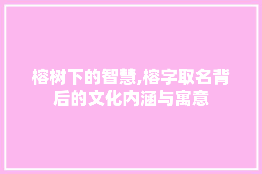 榕树下的智慧,榕字取名背后的文化内涵与寓意