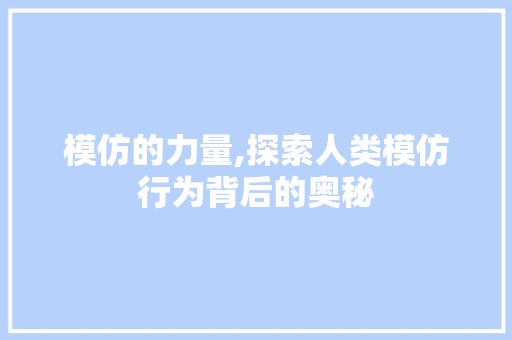 模仿的力量,探索人类模仿行为背后的奥秘 工作类