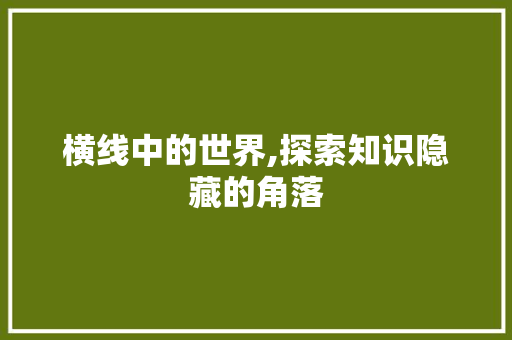 横线中的世界,探索知识隐藏的角落
