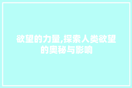 欲望的力量,探索人类欲望的奥秘与影响