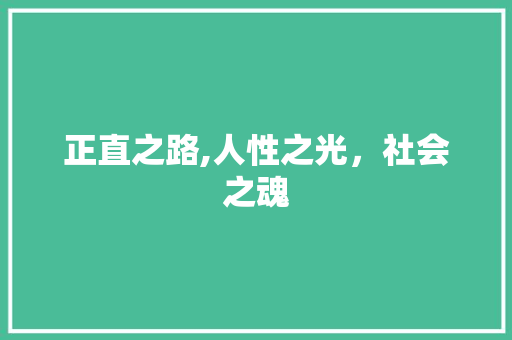 正直之路,人性之光，社会之魂