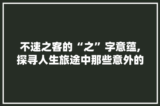 不速之客的“之”字意蕴,探寻人生旅途中那些意外的相遇
