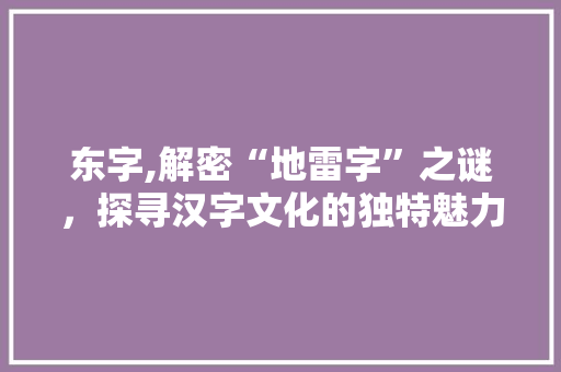 东字,解密“地雷字”之谜，探寻汉字文化的独特魅力