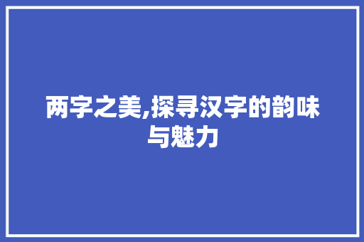 两字之美,探寻汉字的韵味与魅力