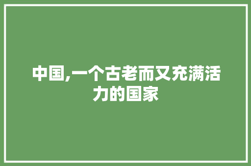 中国,一个古老而又充满活力的国家