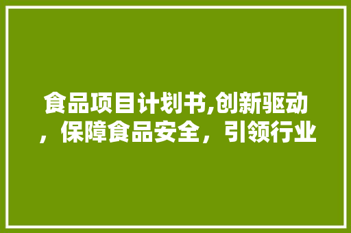 食品项目计划书,创新驱动，保障食品安全，引领行业未来