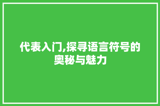 代表入门,探寻语言符号的奥秘与魅力
