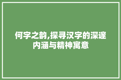 何字之韵,探寻汉字的深邃内涵与精神寓意