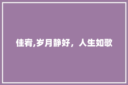 佳宥,岁月静好，人生如歌