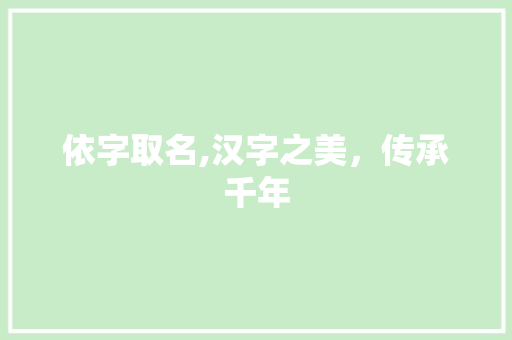依字取名,汉字之美，传承千年