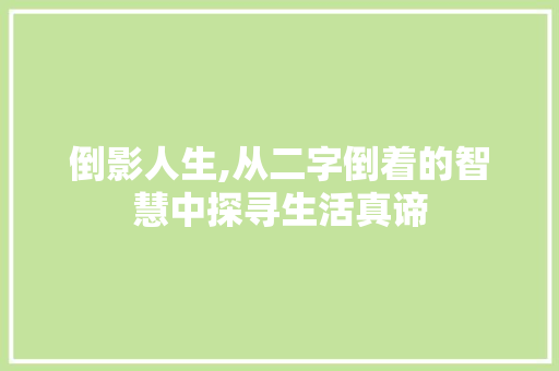 倒影人生,从二字倒着的智慧中探寻生活真谛