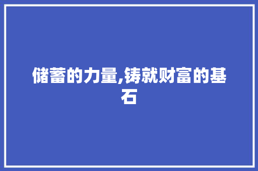 储蓄的力量,铸就财富的基石