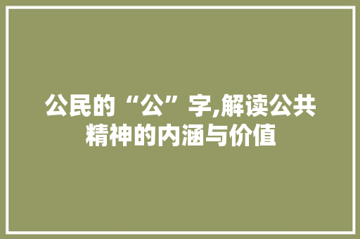 公民的“公”字,解读公共精神的内涵与价值