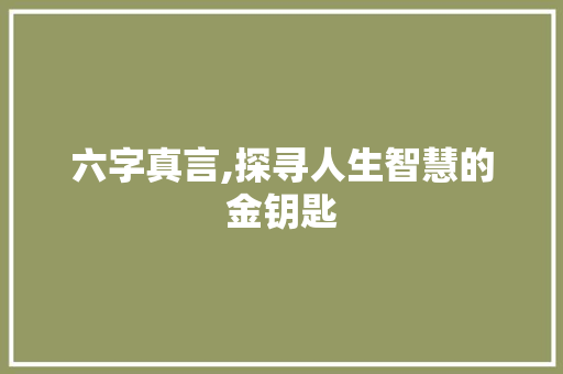 六字真言,探寻人生智慧的金钥匙