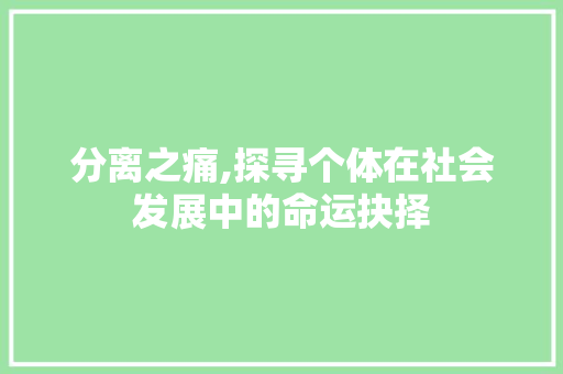 分离之痛,探寻个体在社会发展中的命运抉择
