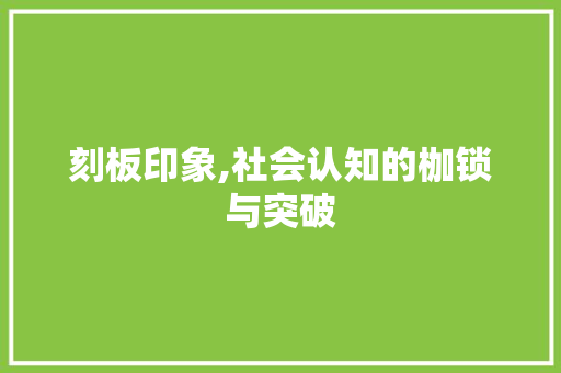 刻板印象,社会认知的枷锁与突破 商业文稿