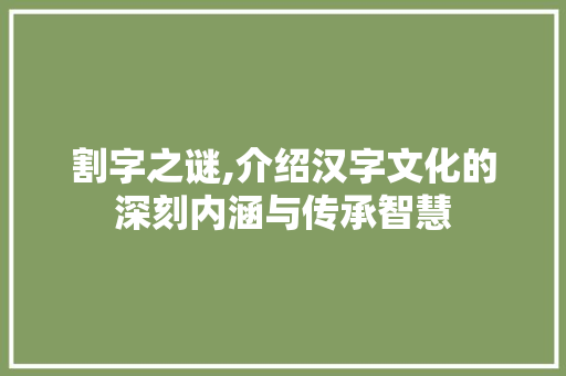 割字之谜,介绍汉字文化的深刻内涵与传承智慧