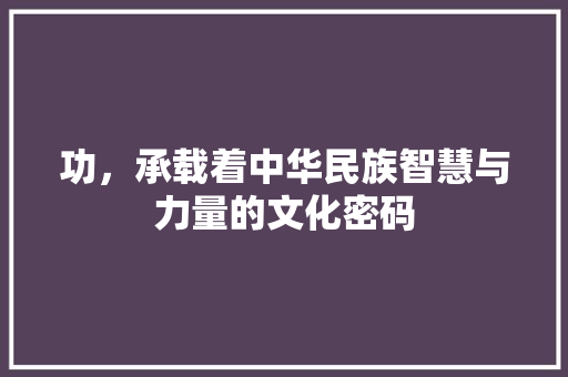 功，承载着中华民族智慧与力量的文化密码