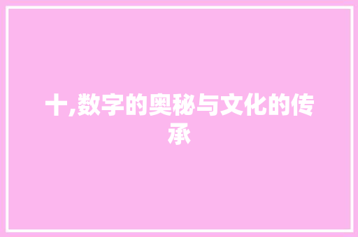 十,数字的奥秘与文化的传承