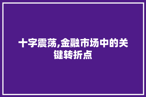 十字震荡,金融市场中的关键转折点