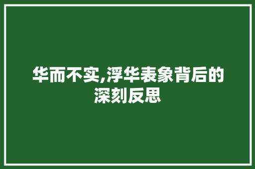 华而不实,浮华表象背后的深刻反思