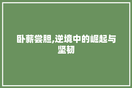 卧薪尝胆,逆境中的崛起与坚韧