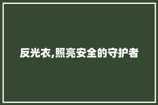 反光衣,照亮安全的守护者