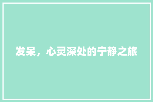 发呆，心灵深处的宁静之旅 工作类