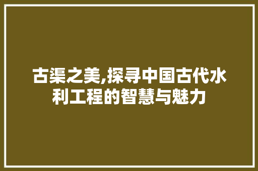古渠之美,探寻中国古代水利工程的智慧与魅力