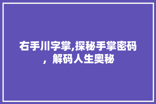 右手川字掌,探秘手掌密码，解码人生奥秘 工作报告