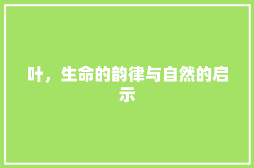 叶，生命的韵律与自然的启示