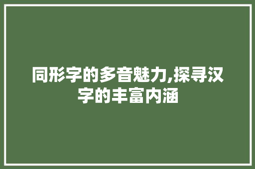 同形字的多音魅力,探寻汉字的丰富内涵