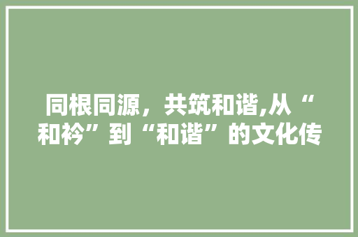 同根同源，共筑和谐,从“和衿”到“和谐”的文化传承
