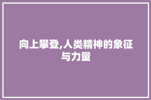 向上攀登,人类精神的象征与力量
