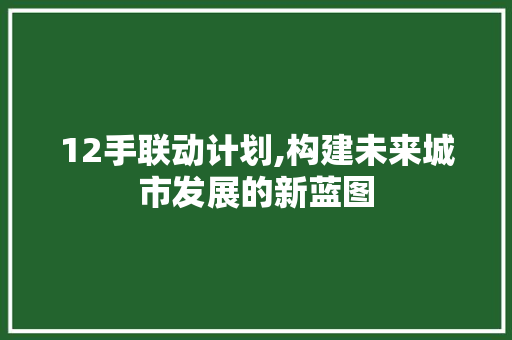12手联动计划,构建未来城市发展的新蓝图