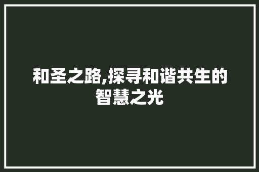 和圣之路,探寻和谐共生的智慧之光