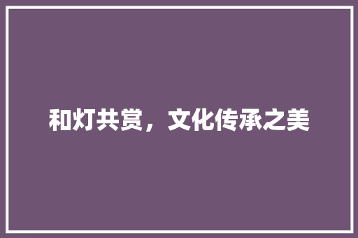 和灯共赏，文化传承之美