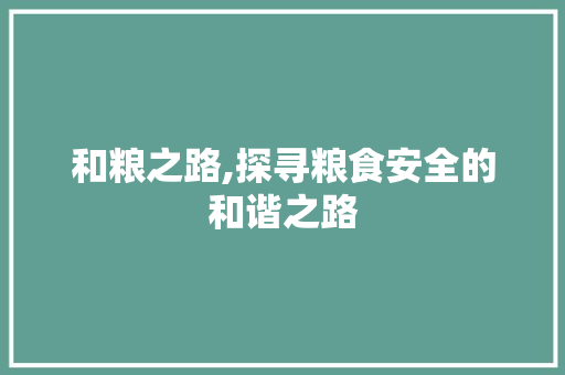 和粮之路,探寻粮食安全的和谐之路