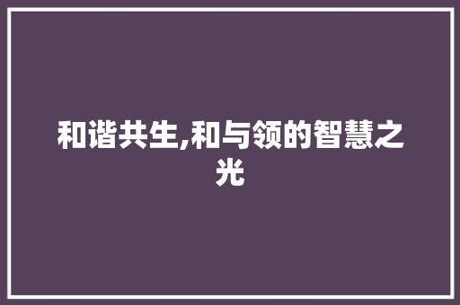 和谐共生,和与领的智慧之光