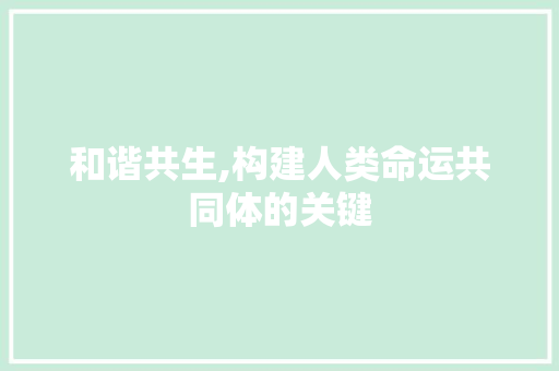 和谐共生,构建人类命运共同体的关键